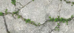 Korean Wallpaper design 88636-1, Stone garden, Natural collection