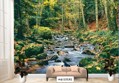 Wall Murals, Printed to Your Wall Size design MD-20281